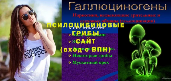 тгк Осташков